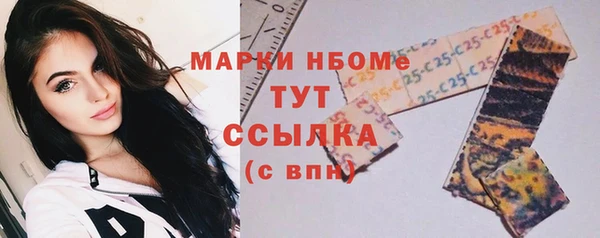 прущие грибы Надым