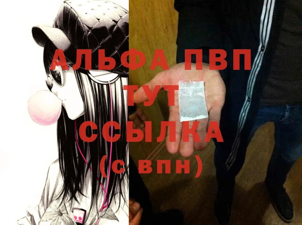 прущие грибы Надым