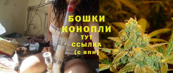 ECSTASY Абаза
