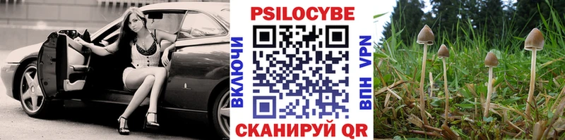 Галлюциногенные грибы Psilocybe  магазин  наркотиков  Благовещенск 